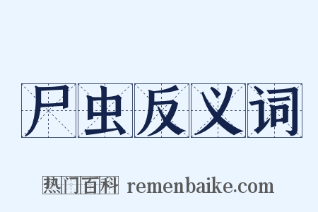 尸虫反义词是什么意思的图片